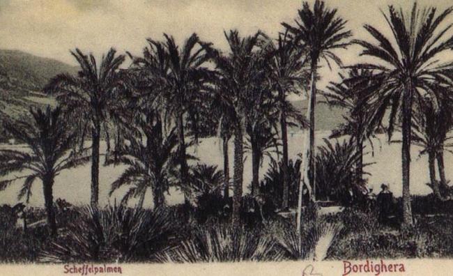Pierre Renoir View of Bordighera:the Palms Postcard Germany oil painting art